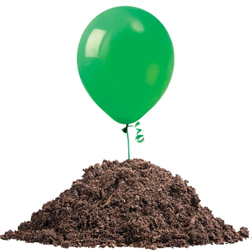 Aliquam Balloons potest REDIVIVUS