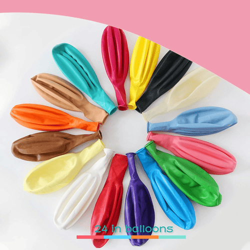 24 inch Aliquam Balloon